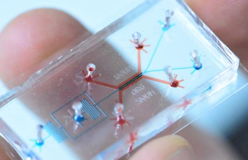 毛細管電泳芯片.jpg 毛細管電泳芯片.jpg