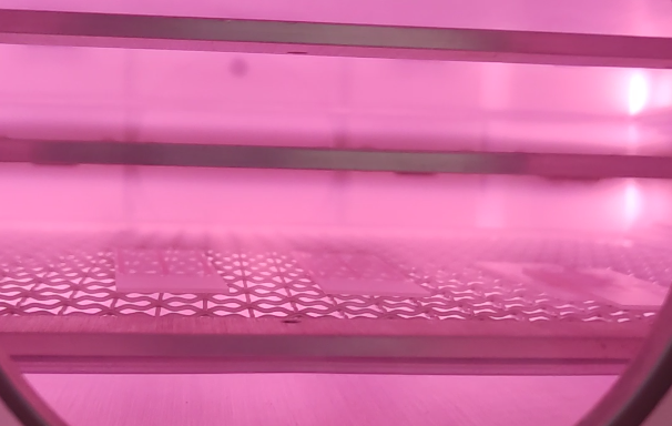 成人免费看片表麵處理.png 成人免费看片表麵處理.png